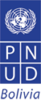 Logo_pnud
