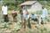 project memebers  weeding at the pumpkins farm