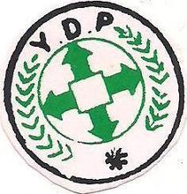 YDP Logo.JPG