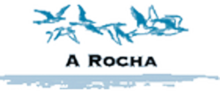 organisation.2005-12-17.7948430566.png