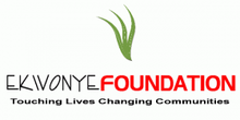 logo ekwonyefoundation.png