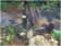 old man carrying cassava lices to feed the orphans , due tedo support.