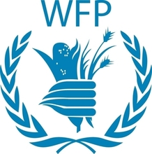 WFP.jpeg