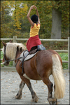 Cheval Dire - Sanofi-Aventis Partnership, http://www.cheval-dire.com/images/gazette2.jpg