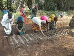 Gardening training