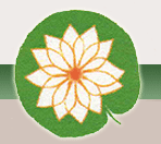BACV_logo.png