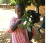 Environmental and Natural Resource Management
