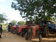 kush assets tree tractors