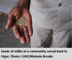 Seeds of millet at a community central bank in Niger