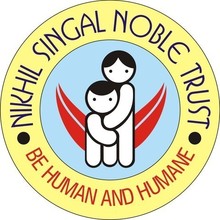 nsnt logo.jpg