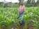 food security