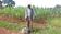 field  activity osodi 
