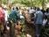 training of farmers on fruittree grafting