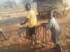 Ovcs_in_arid_and_semi-arid_lands_of_kenya