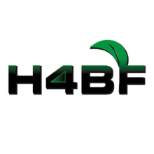 h4bf-logo-tranparent.png